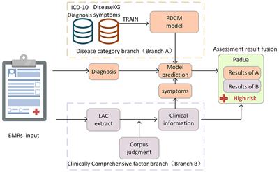 Automating venous thromboembolism risk assessment: a dual-branch deep learning method using electronic medical records